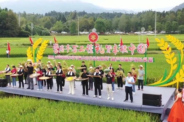 共庆农民丰收节 绘就和美乡村新画卷