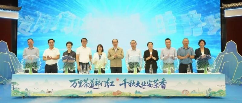 2025安茶夜露活动暨茶健康产业发展大会举行